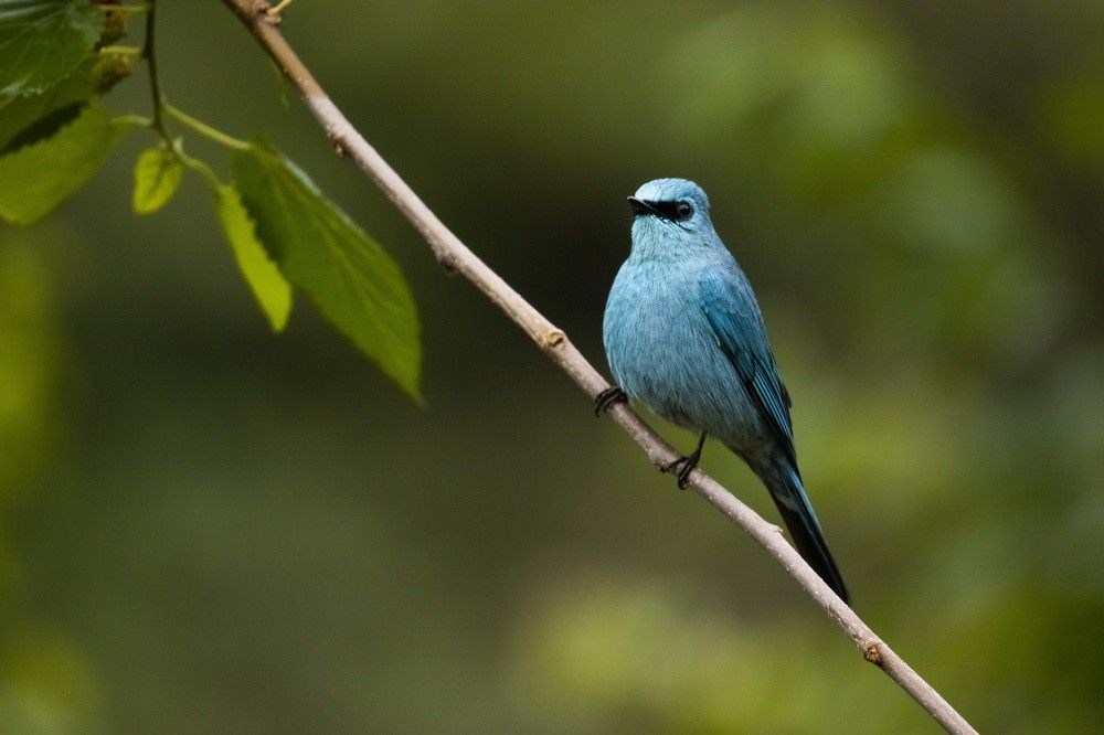 Photograph by Sourav Mahant