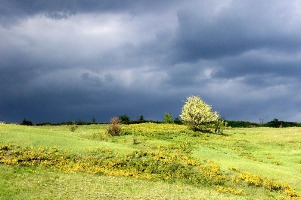 Photograph by Андрей Хитрун