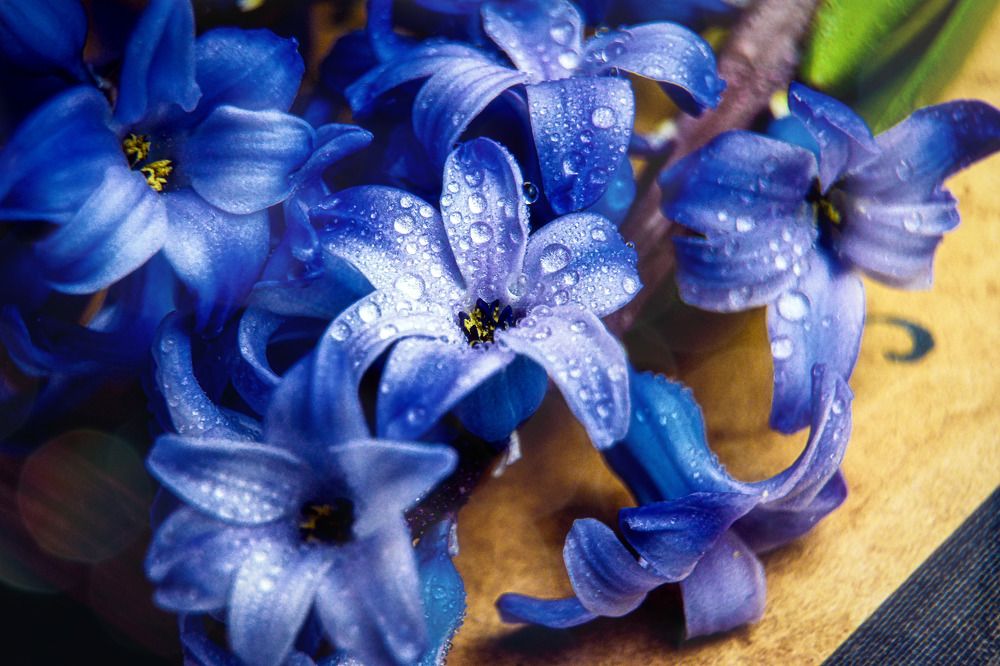 Photograph by Светлана Перминова