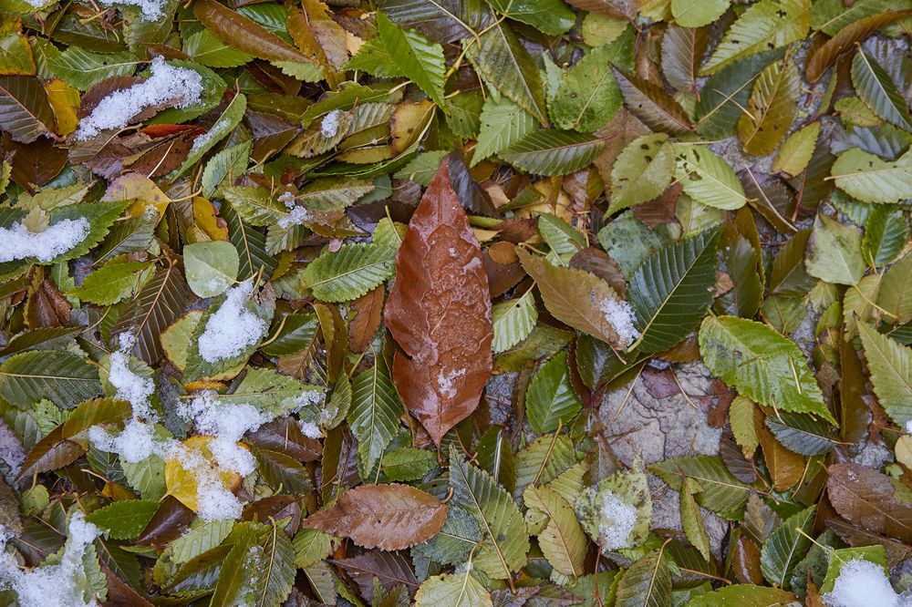 Photograph by Сергей Кириллов