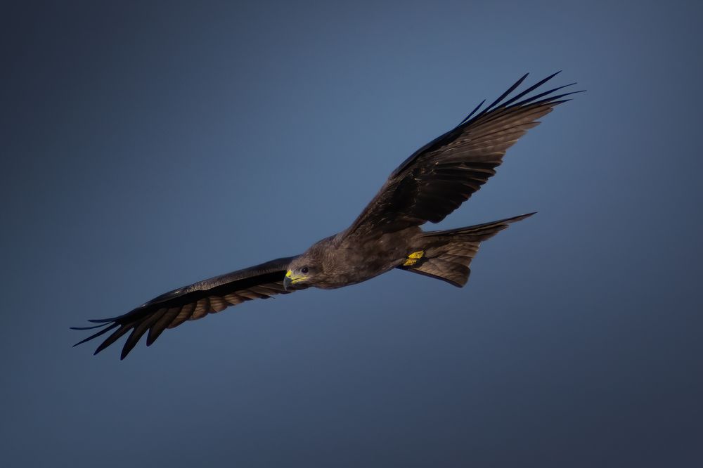 Photograph by Dibyajyoti Nath