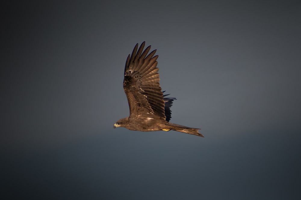 Photograph by Dibyajyoti Nath