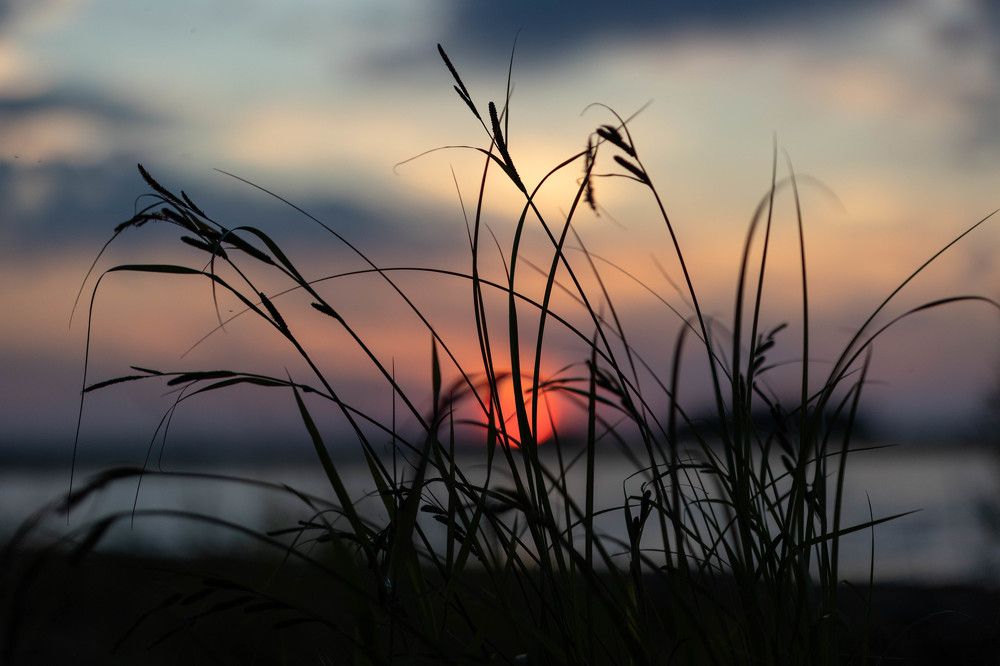 Photograph by Екатерина