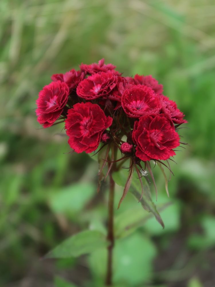 Photograph by Юлия Майкова