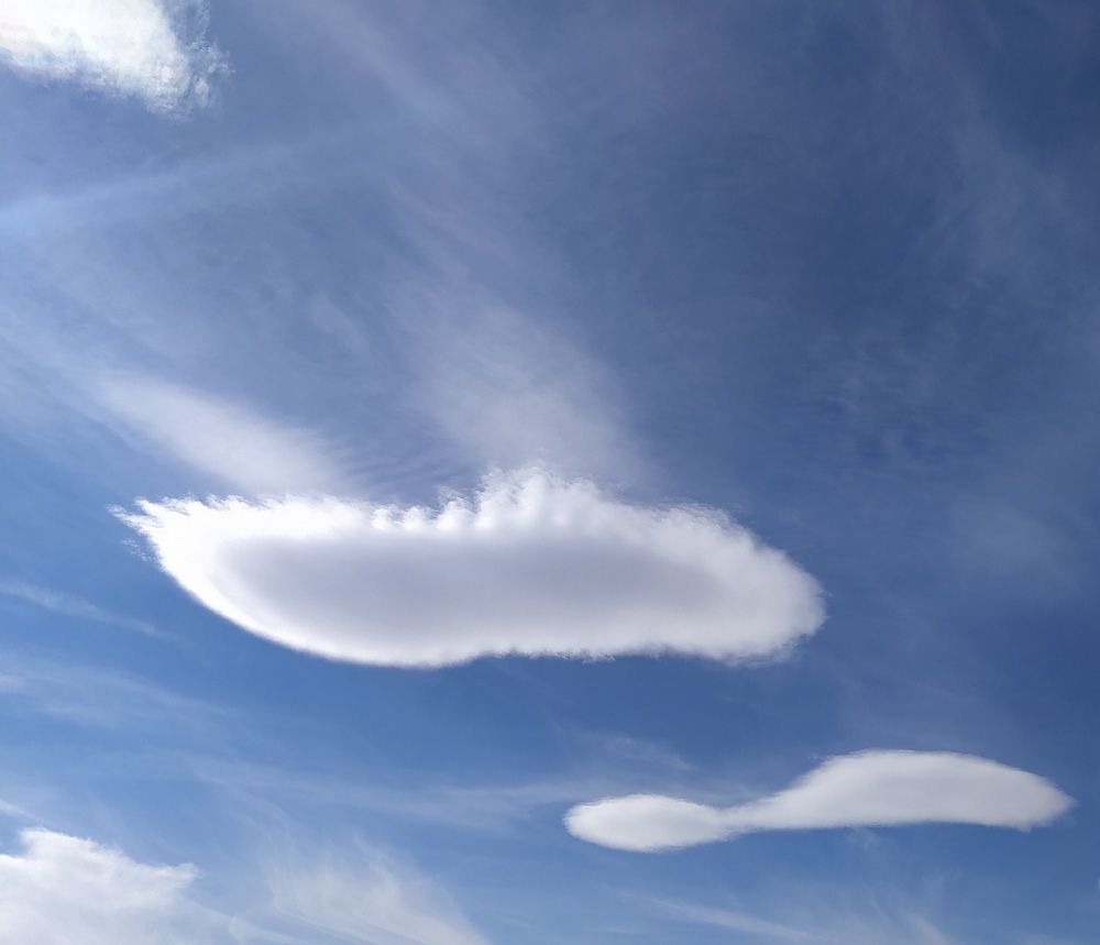 Photograph by Roghayeh Dannandeh