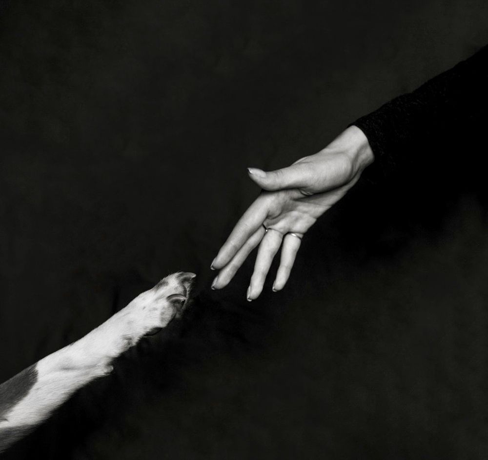 Фотография автора Galina Sa