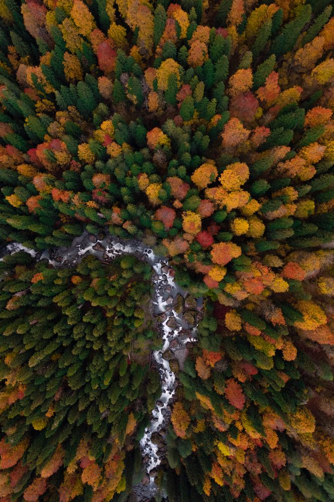 Photograph by Анна Халкониди