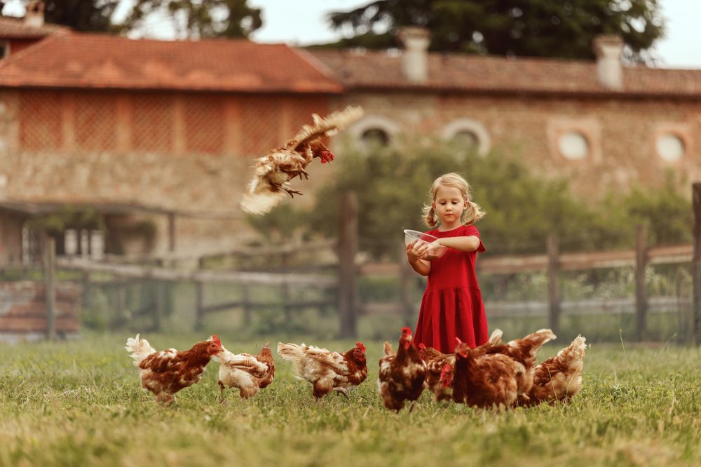 Photograph by Катерина Мельник