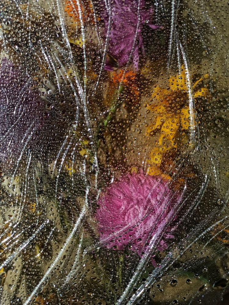 Photograph by Дина Полухина