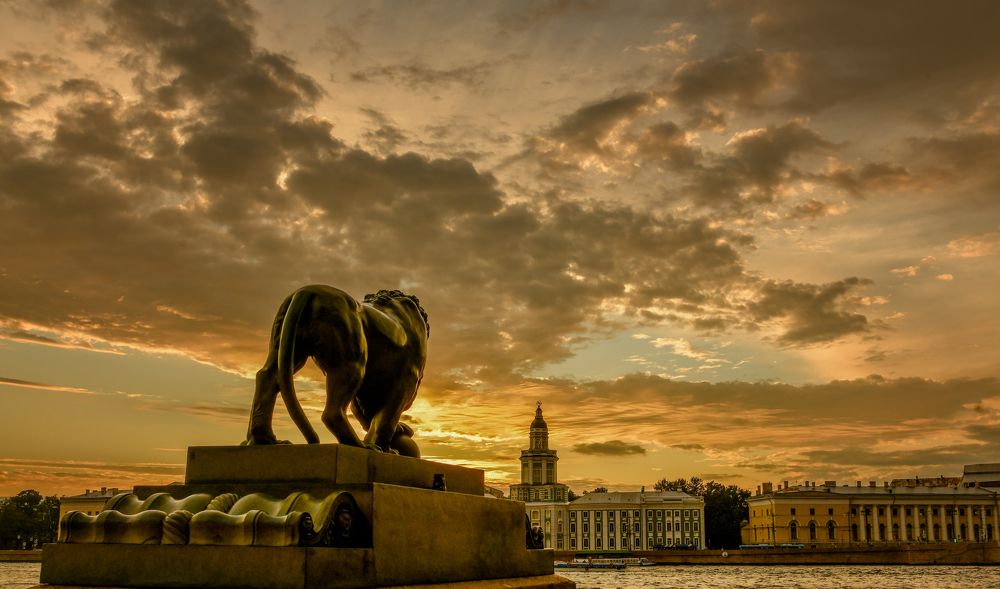 Фотография автора Александра Елагина