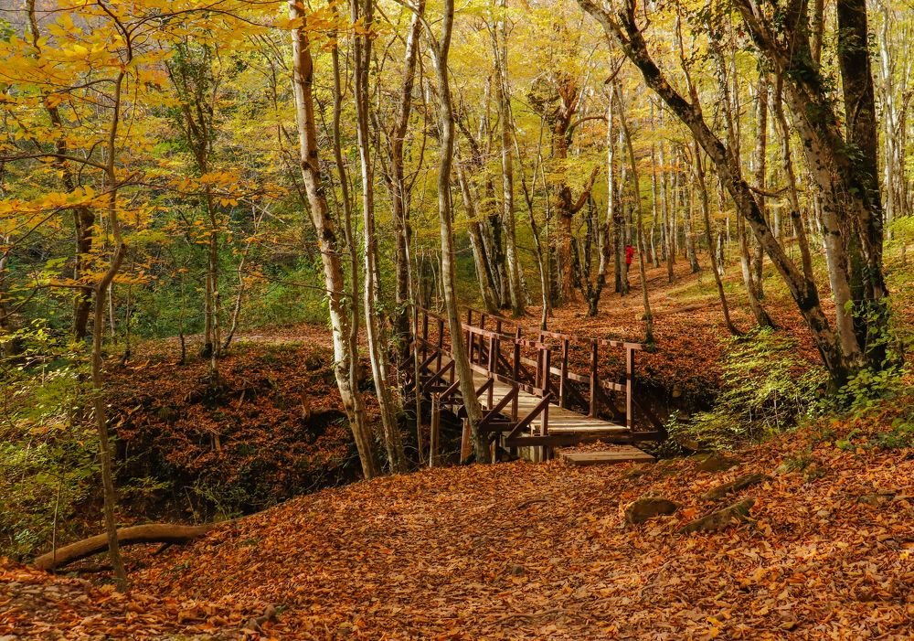 Photograph by Олег Башкуров