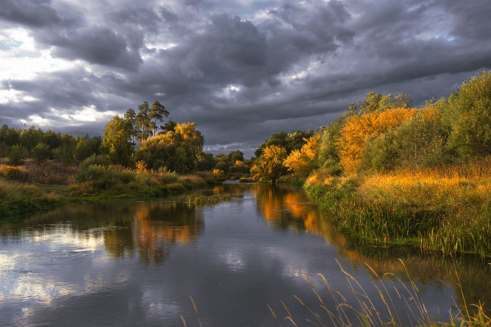 Photograph by Виталий Полуэктов