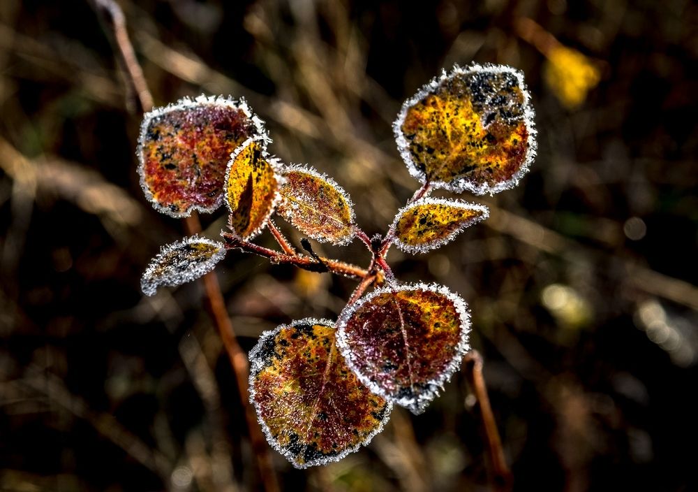 Photograph by Виктор Рыков