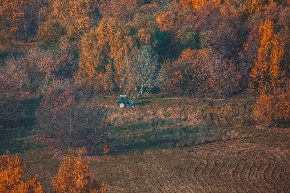 Фотография автора Алексей Звягинцев
