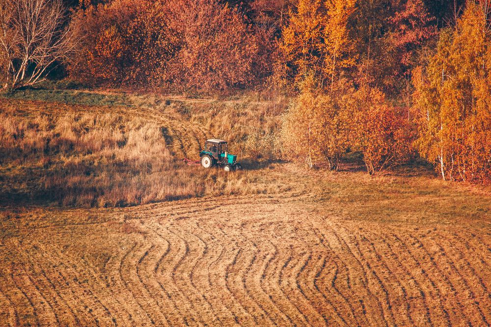 Фотография автора Алексей Звягинцев