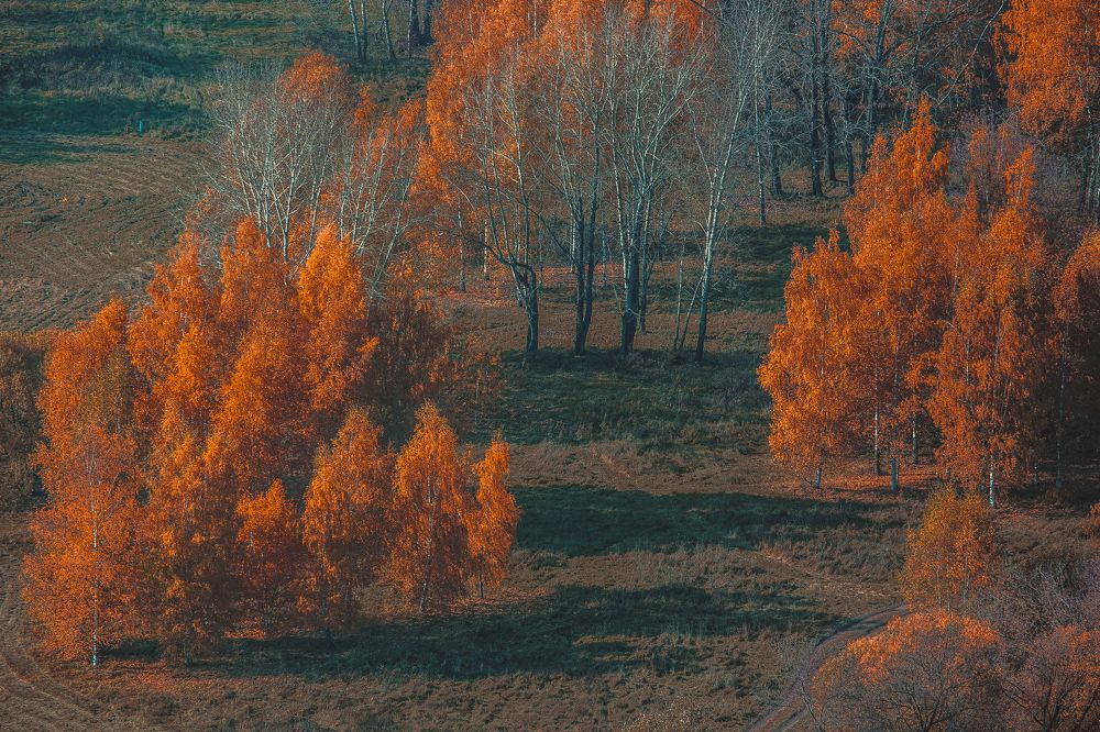 Фотография автора Алексей Звягинцев