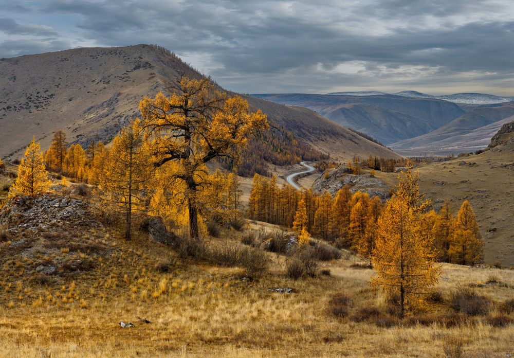 Photograph by Александр КАИ