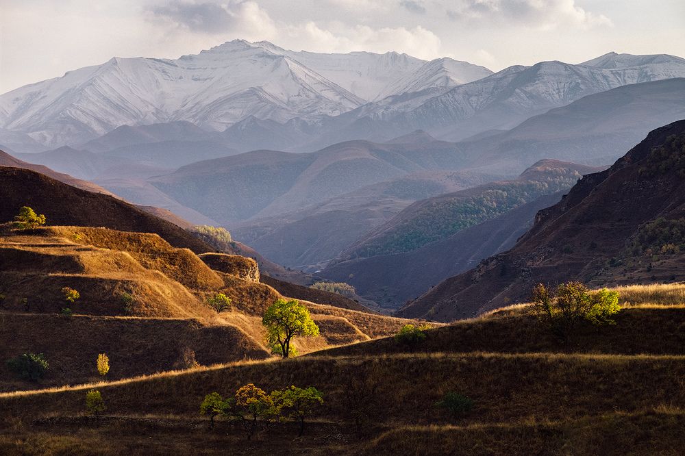 Слоёный пирог