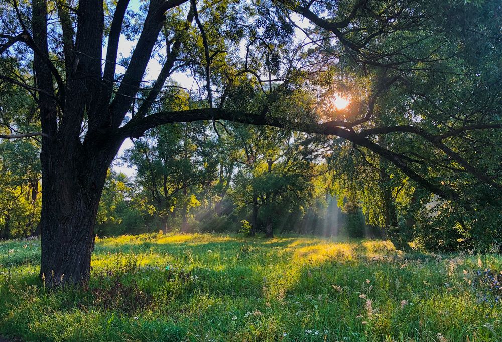 Photograph by Матвей Короткин
