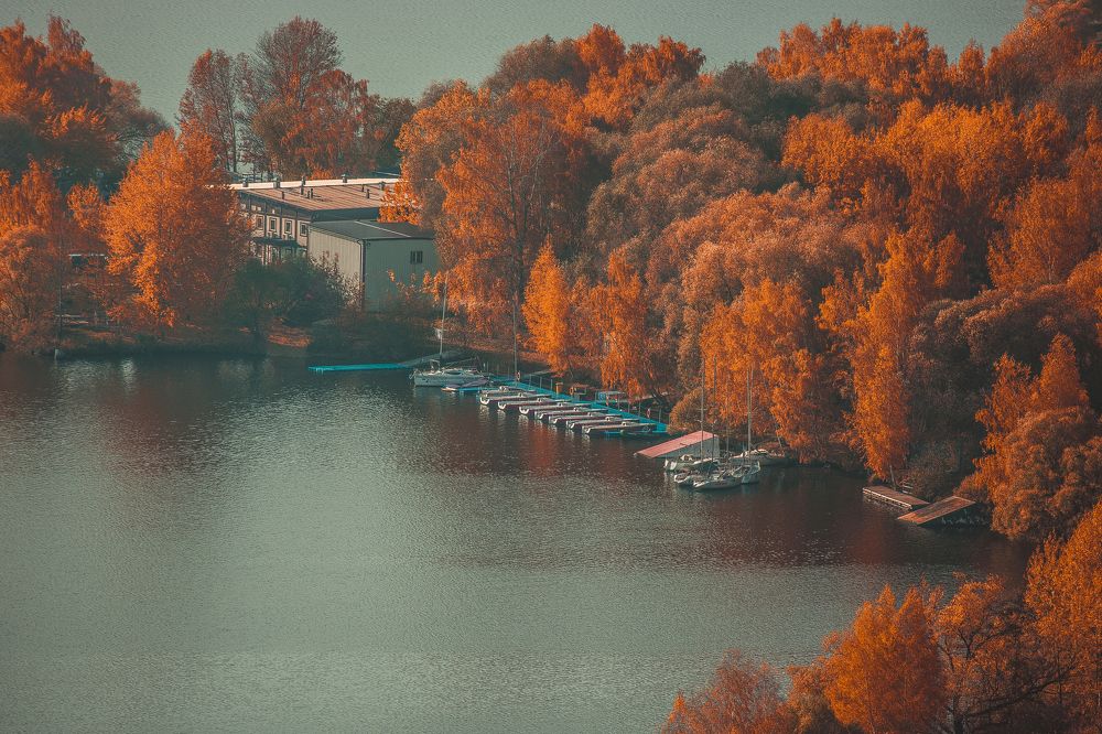 Фотография автора Алексей Звягинцев