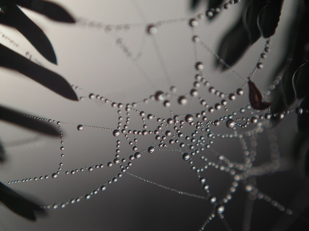 Photograph by Наталья