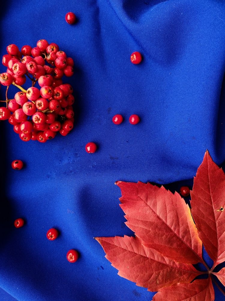 Photograph by Elena Gerasimova
