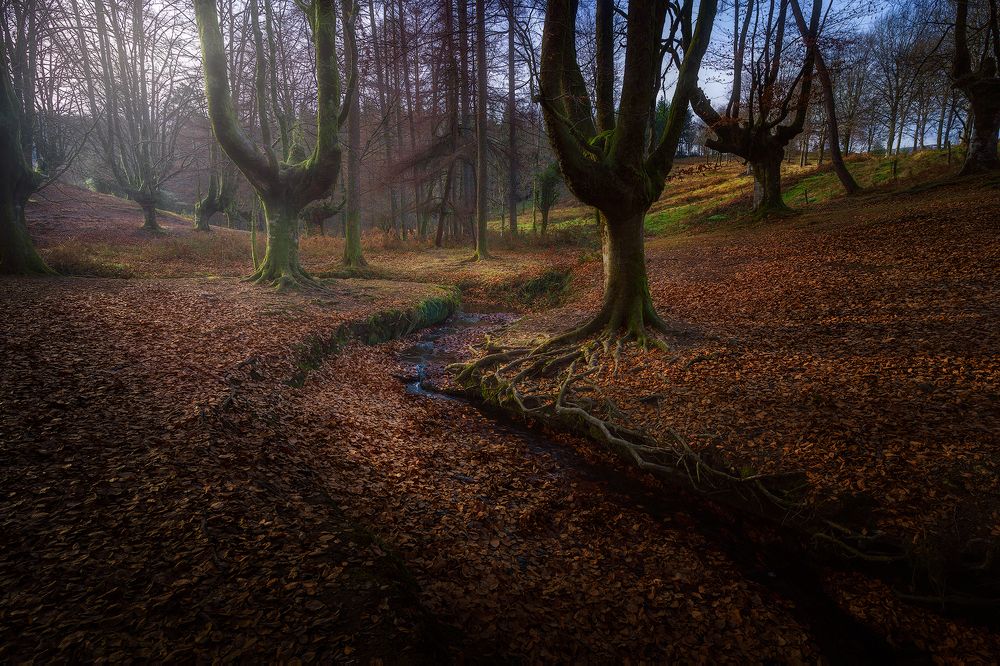 Photograph by SORAYA SAMPEDRO