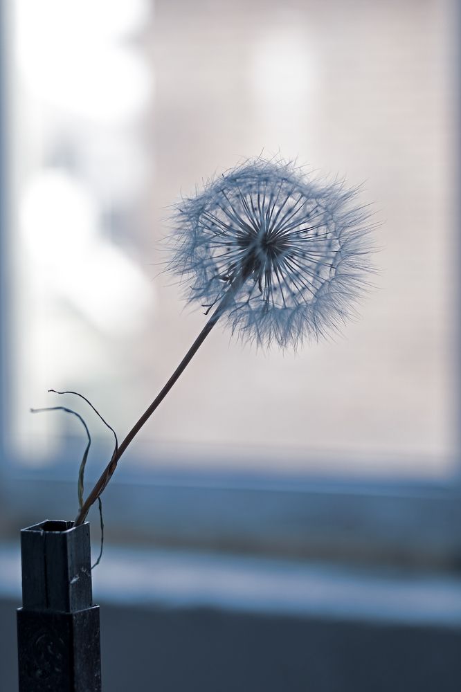 Photograph by Людмила Примак