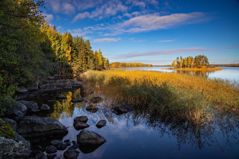 Photograph by Герасимова Елена