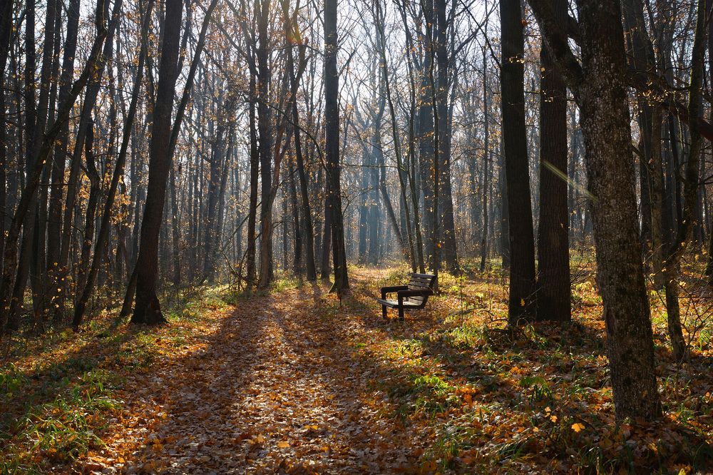 Photograph by Олег Чубайкин