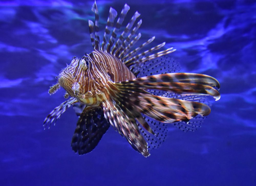 Photograph by Аверьянова Наталья