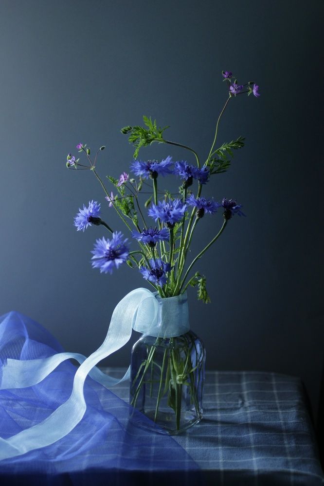 Photograph by Екатерина