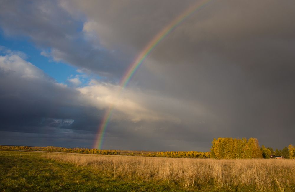 Photograph by Elena Hvojnova