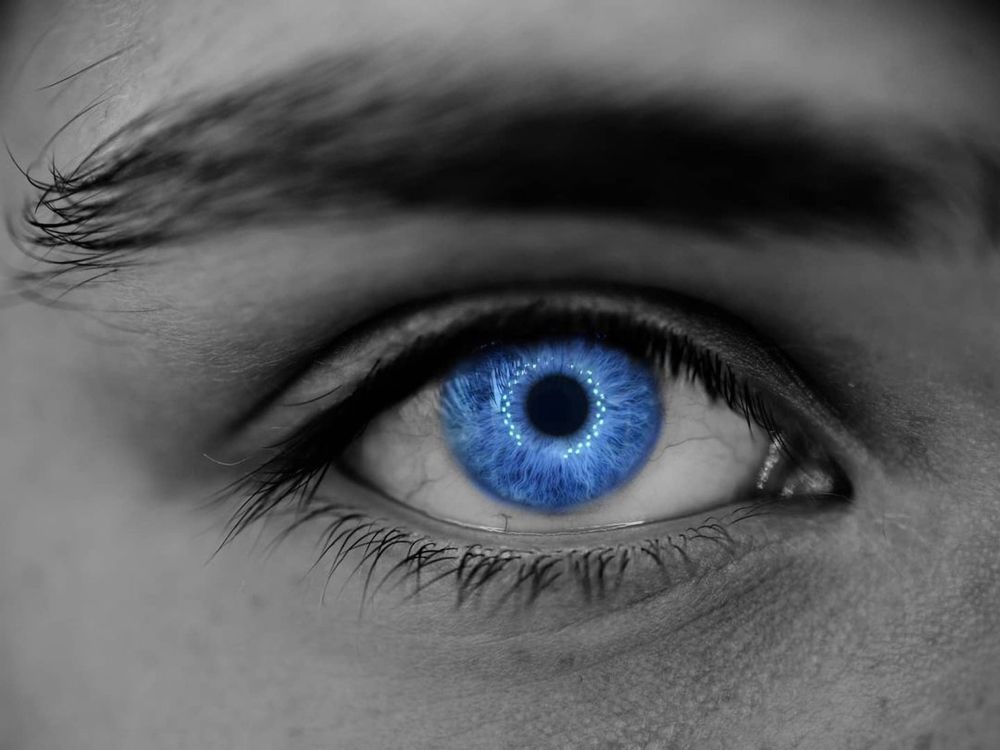 Photograph by Alexander Usenko