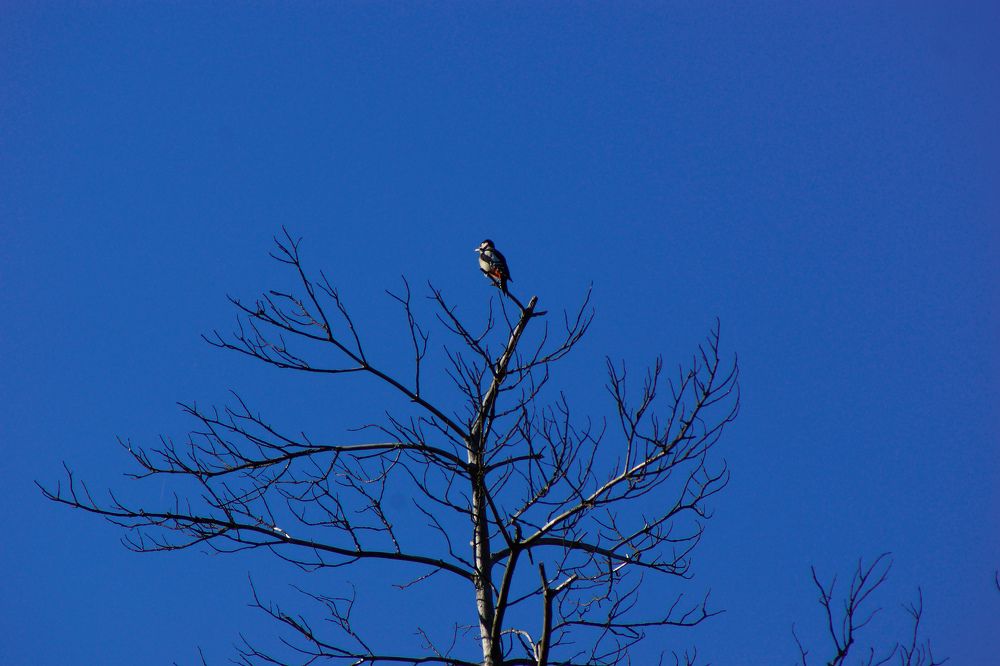 Photograph by Олег Чубайкин