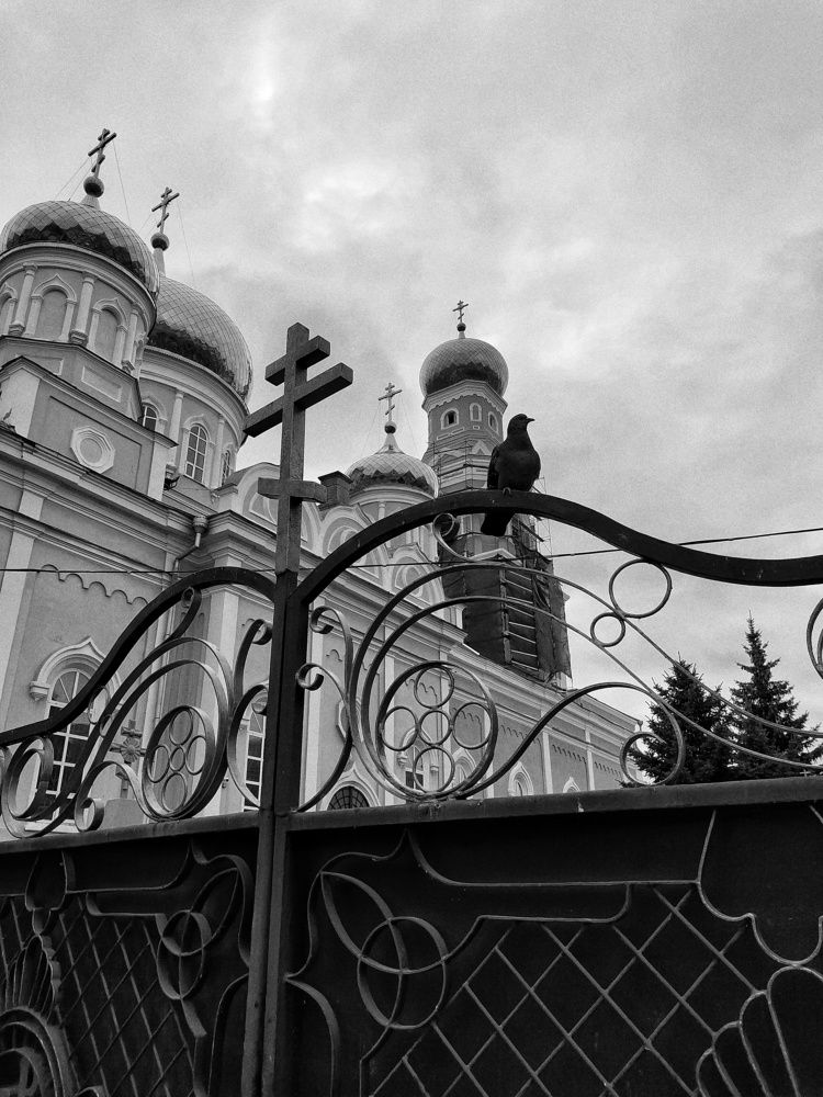 Photograph by Моисеев Александр