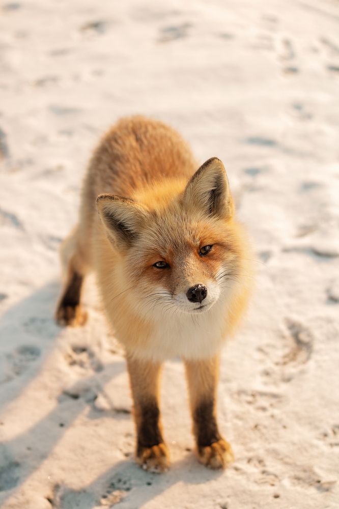 Photograph by Лазурченко Анастасия