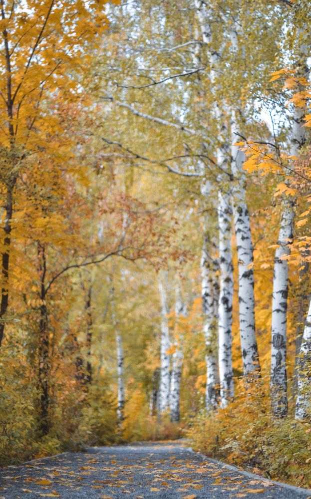 Photograph by Мария Шерер