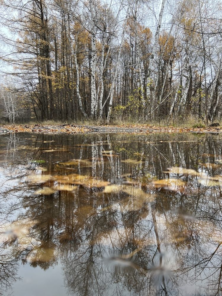 Photograph by Виктория Погорилко