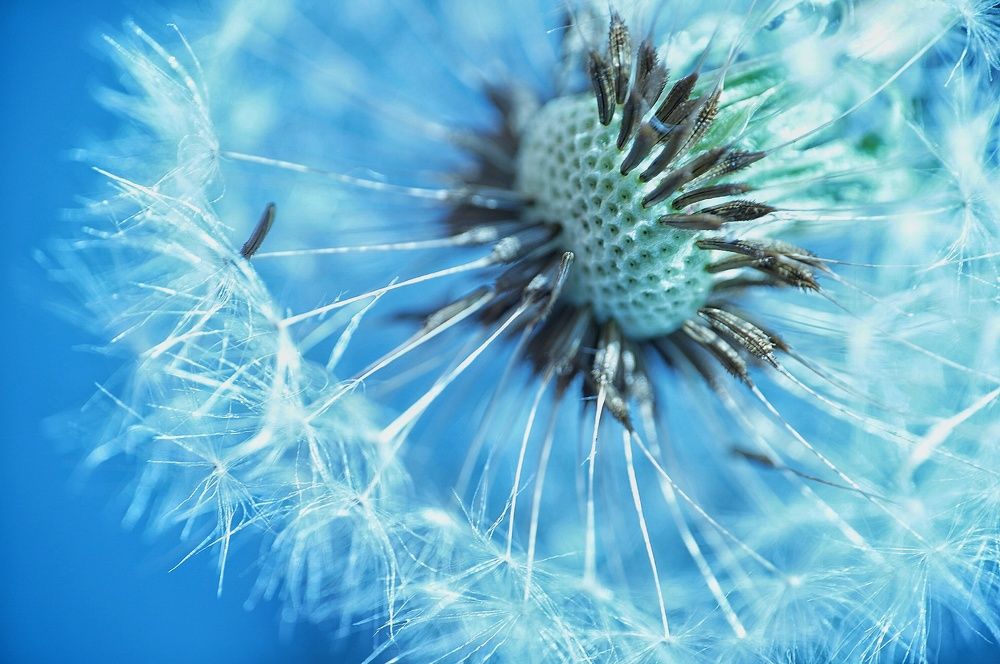 Photograph by Ольга Ларизадех