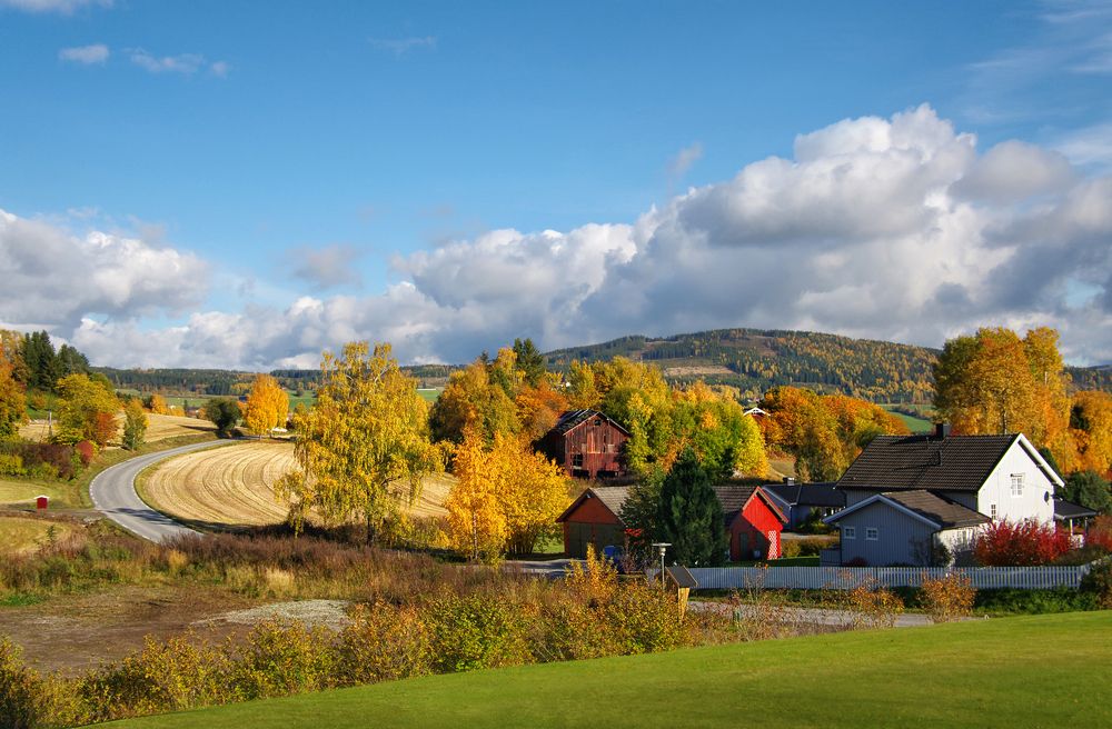 Photograph by Ionika Mink