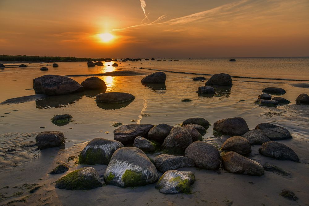 Фотография автора Александра Елагина