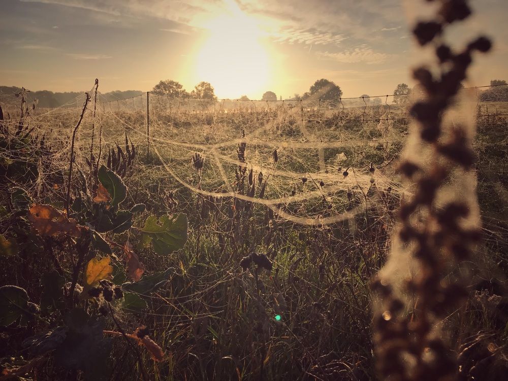 Photograph by Юлия Зырина