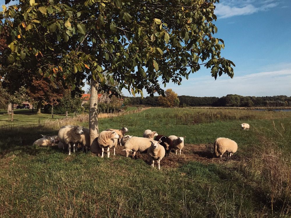 Photograph by Юлия Зырина