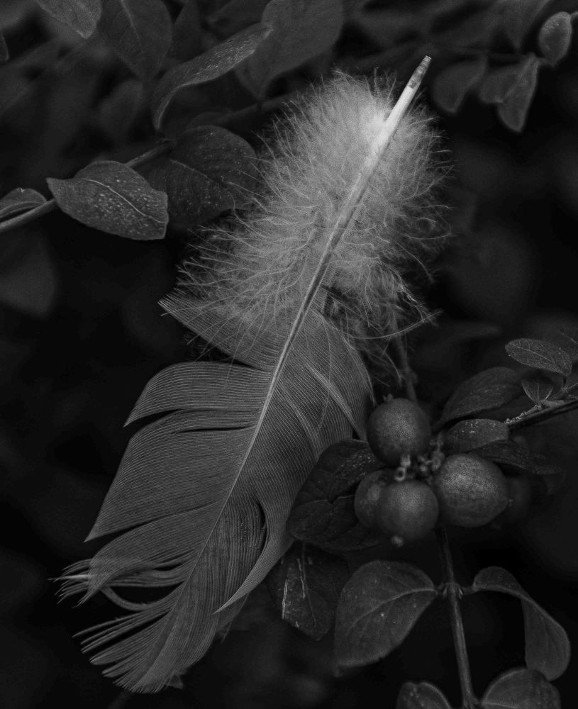 Photograph by Vitalii Kaznin