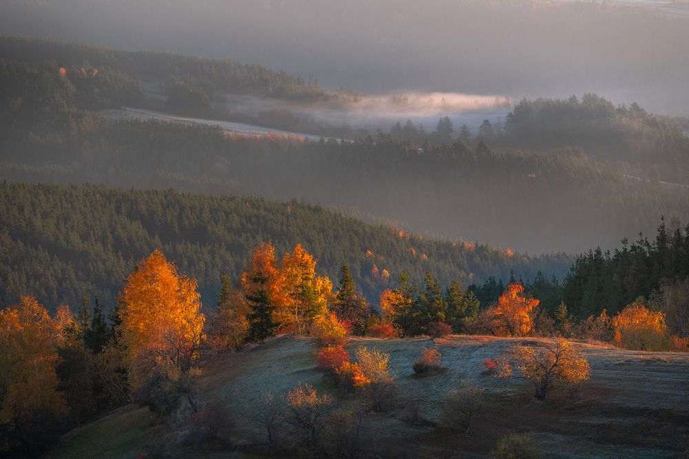 Photograph by Александър Александров