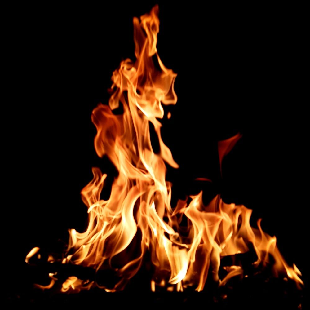 Photograph by Zahra HassanPour