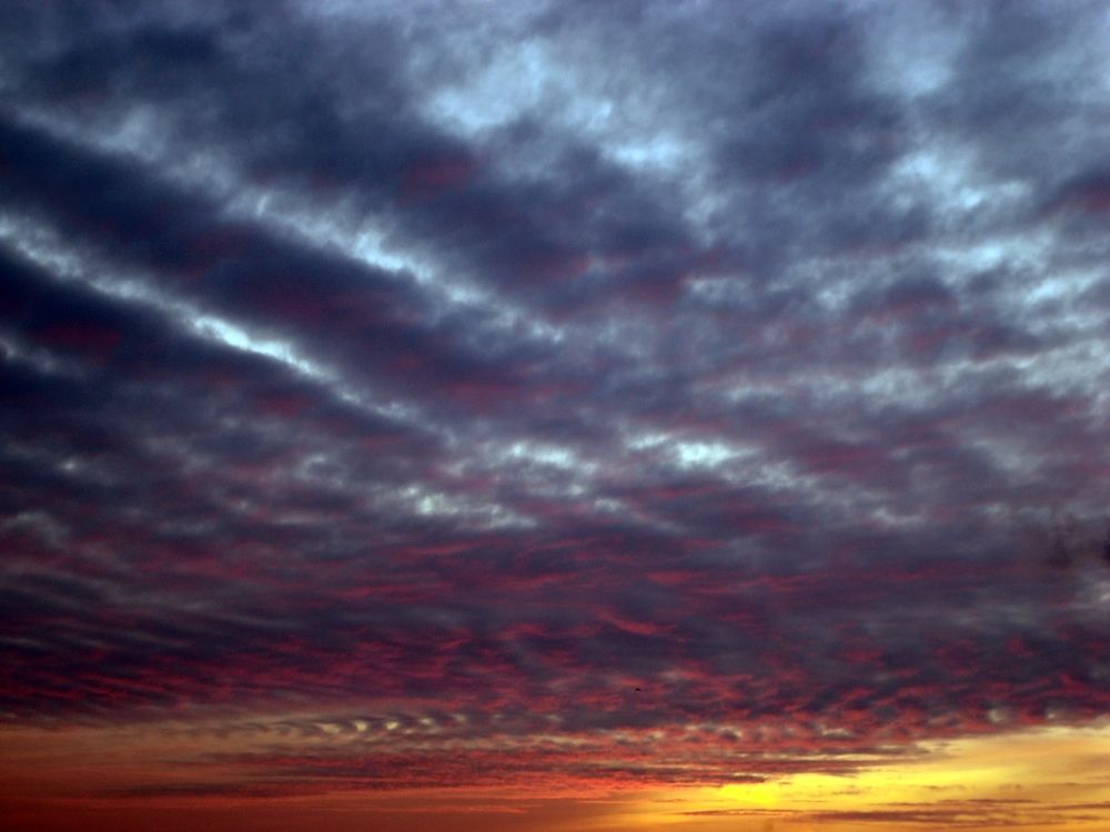 Photograph by Виталий