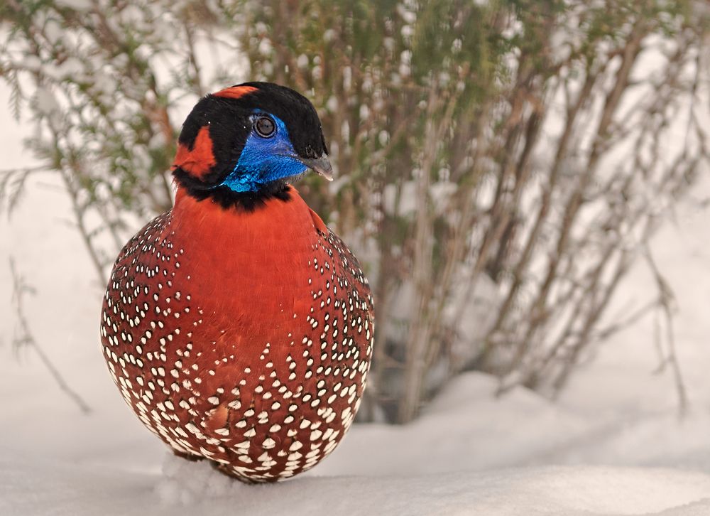 Photograph by Олег Тыркин