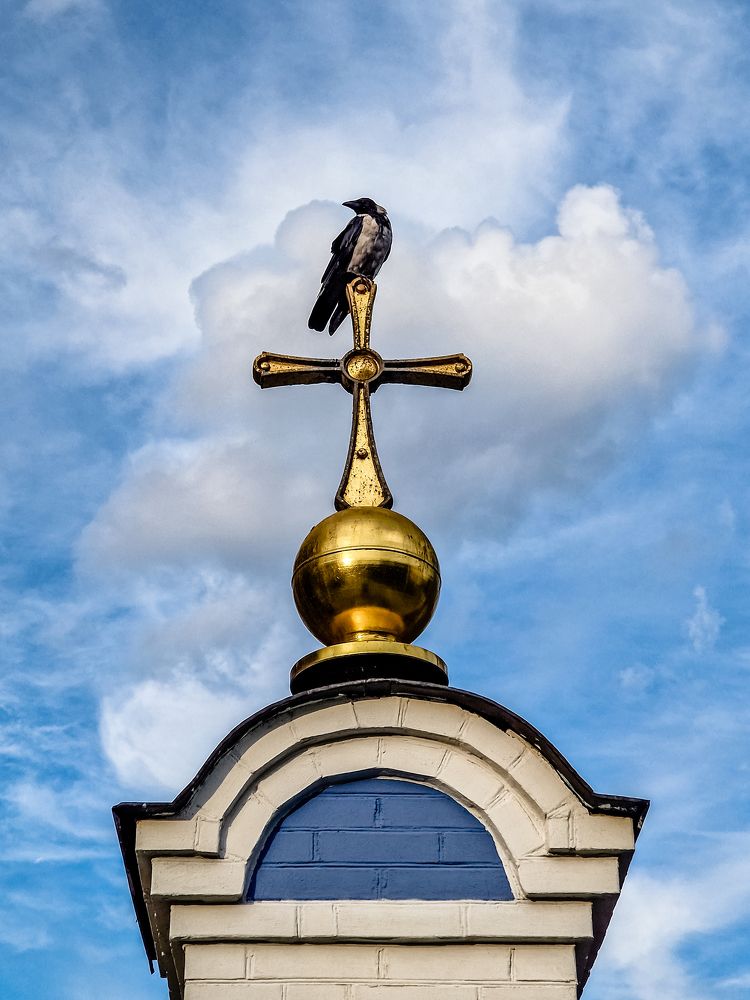 Photograph by Liudmila Kirillova